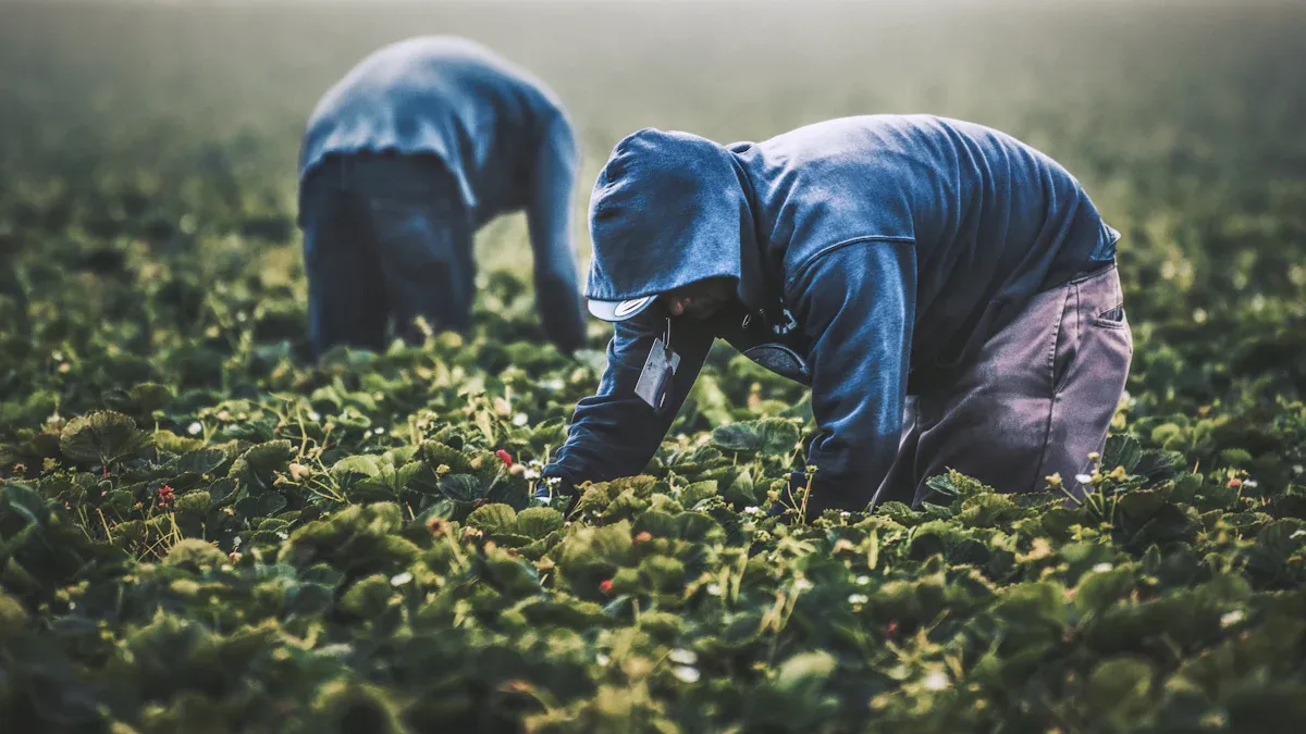 Sustainable Denim Sourcing